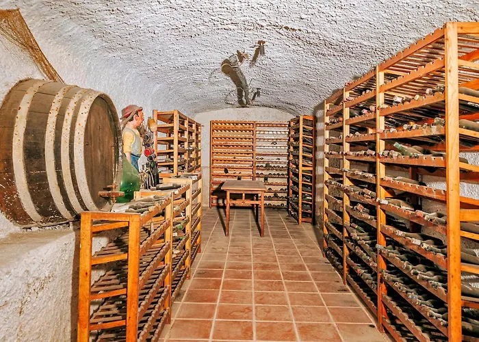 Гостевой дом Livia 4*