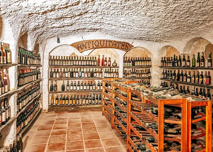 Livia Ischia